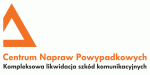 logo_CNP_poziom